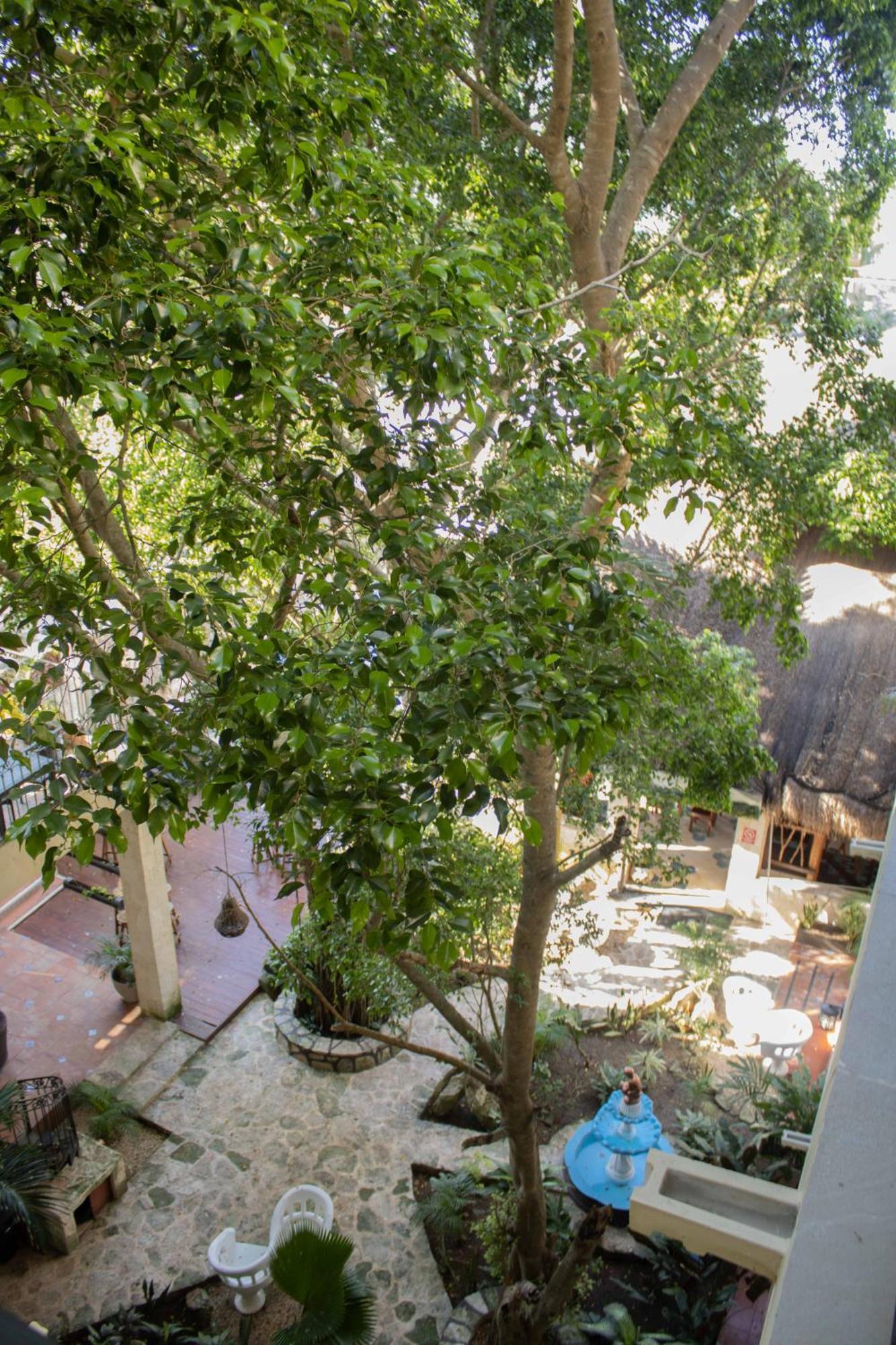 Hotel Nojoch Che Cobá Eksteriør billede